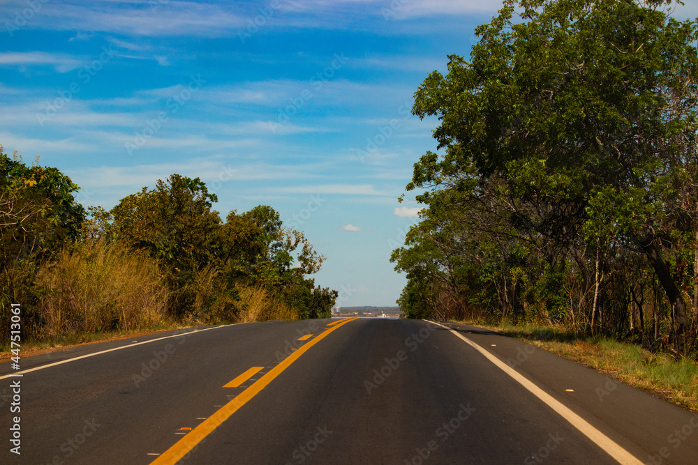 Fototapeta premium road in the countryside