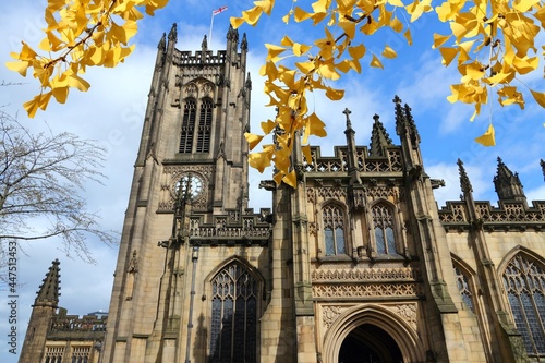 Manchester, UK - autumn leaves seasonal view.