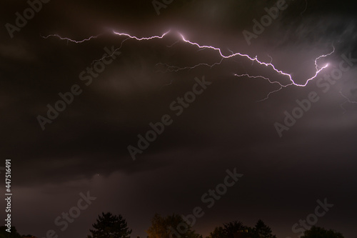 Lightning across a night sky between illumated clouds with tree tops on the lower edge of the picture