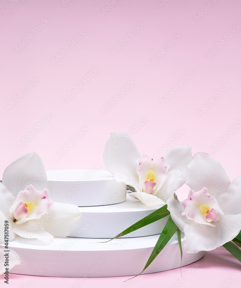 White geometric shapes podium for product display on pink background with orchid flowers and palm leaves. Monochrome stage, stand for product promotion in minimal style. White geometric shapes podium for product display on pink background with orchid flowers and palm leaves. Monochrome stage, stand for product promotion in minimal style.