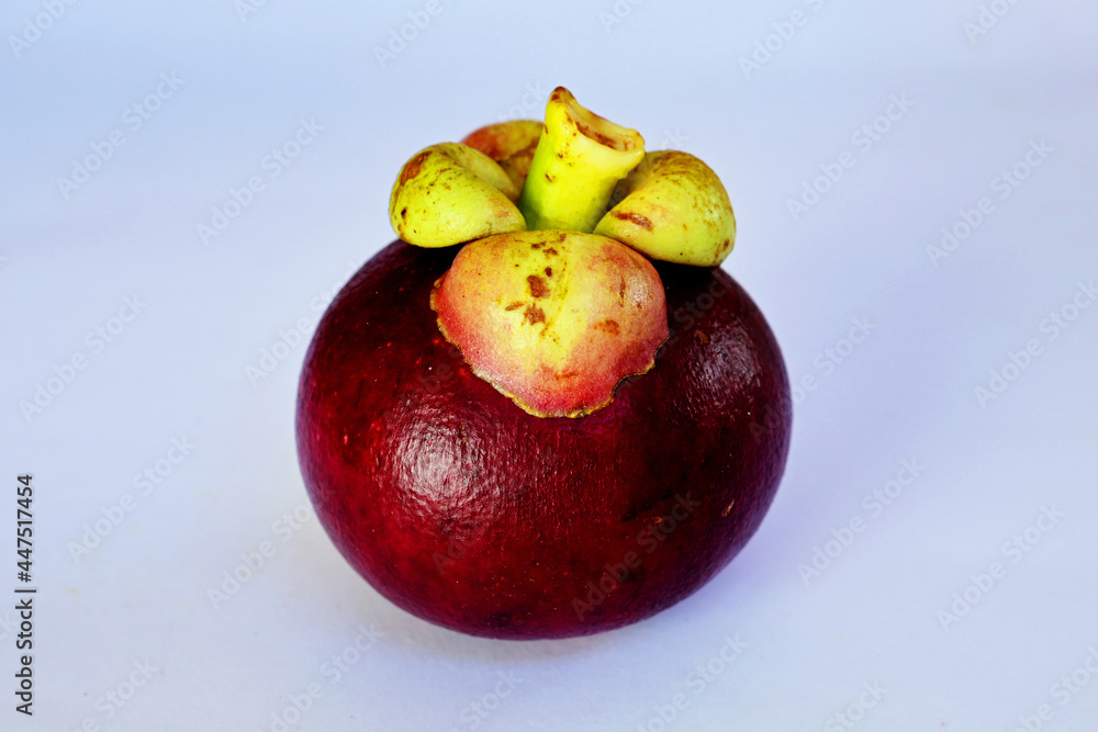 mangosteen - Garcinia mangostana. is a tropical fruit that is found in many Southeast Asian countries, including Indonesia. Mangosteen contains several nutrients with antioxidant capacity, such as vit mangosteen - Garcinia mangostana. is a tropical fruit that is found in many Southeast Asian countries, including Indonesia. Mangosteen contains several nutrients with antioxidant capacity, such as vit