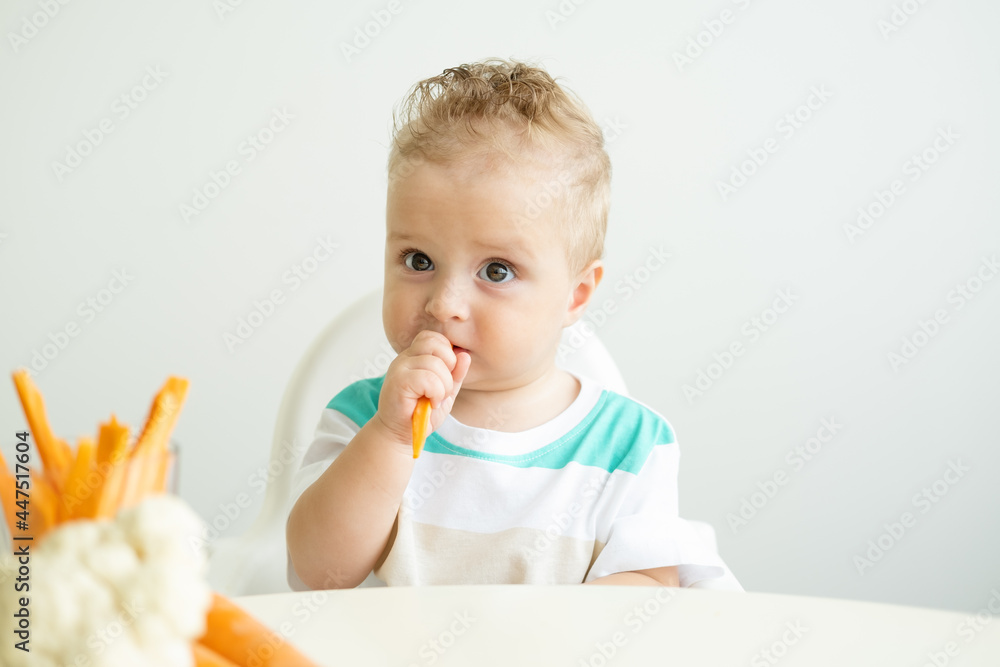 Baby boy sitting in a Childs chair eating carrot slices on white background. Baby boy sitting in a Childs chair eating carrot slices on white background.
