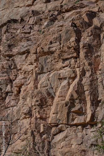 Vertical granite rock face overgrown with vegetation, outdoor