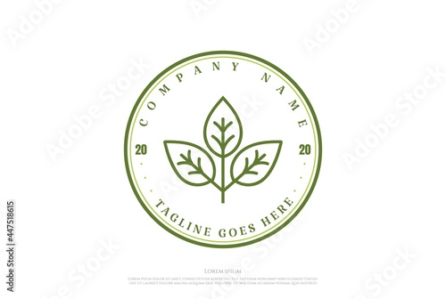 Vintage Retro Leaf Plant Garden Logo Design Vector