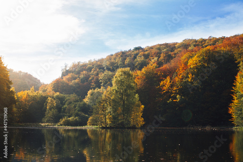 fall in söderåsens nationalpark