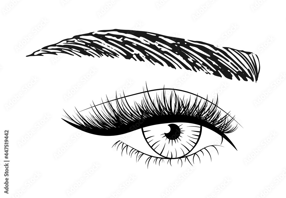 Woman's sexy eye with eyebrow and full lashes. Idea for business visit card, typography. Logo for brow bar, luxury lash or beauty salon. Vector illustration. Woman's sexy eye with eyebrow and full lashes. Idea for business visit card, typography. Logo for brow bar, luxury lash or beauty salon. Vector illustration.