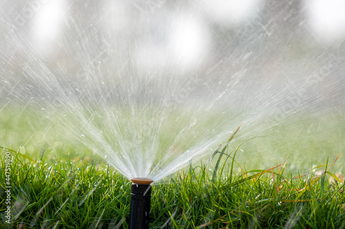 Plastic sprinkler irrigating grass lawn with water in summer garden. Watering green vegetation duging dry season for maintaining it fresh.