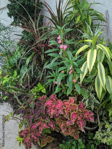 Various type of colorful decorative plants on a corner of a rooftop garden -a vertical photo of rooftop garden