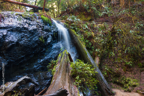 Waterfall in Mendocino. Northern California Redwoods. 