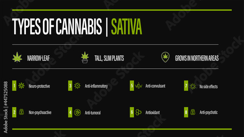 Black information poster of Types of cannabis with infographic. Sativa