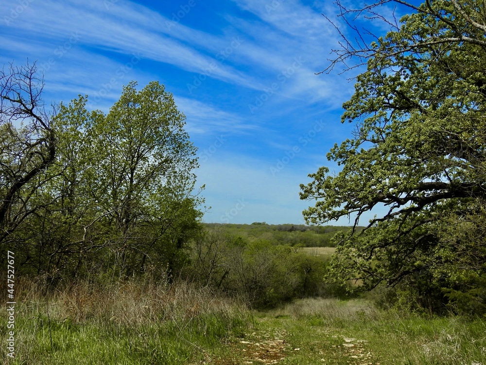 Fototapeta premium Kansas farmland
