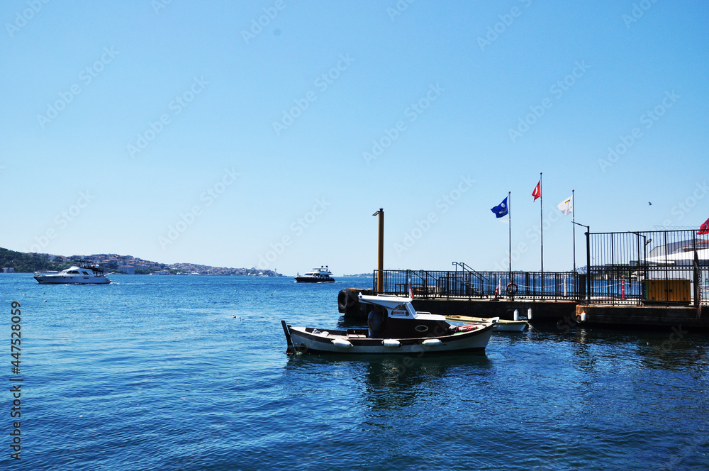 Ships in the sea bay. Panoramic view of the Bosphorus.