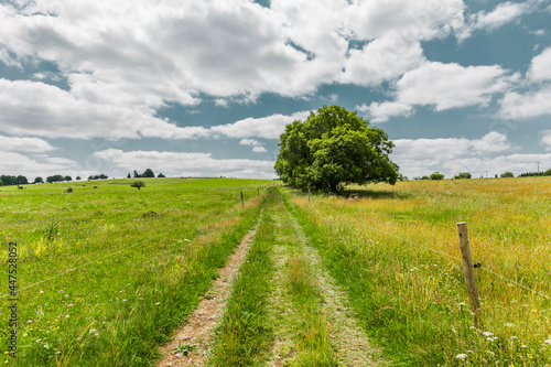 Wanderweg in der Rhön