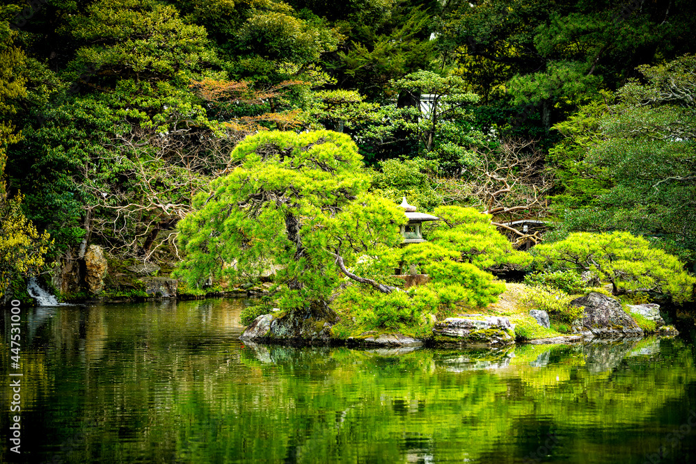Kyoto, Japan green lush foliage spring garden in Imperial Palace architecture with water reflection and stone bridge lantern on lake pond