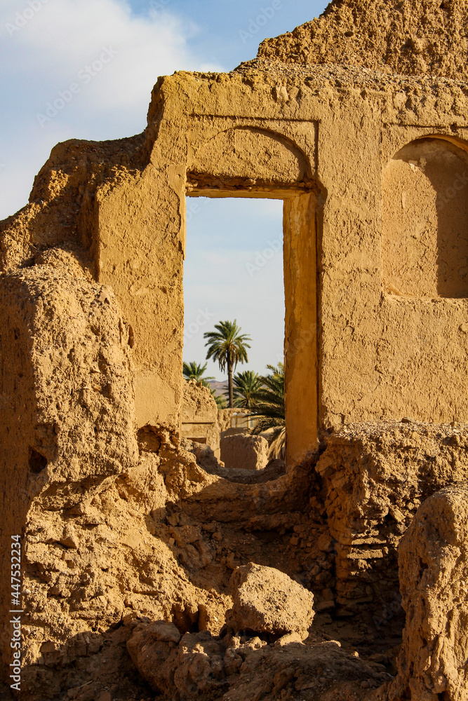 a palm visible through a frame in ruins of the ancient city in Iran