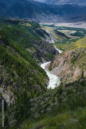 picturesque view of pure rapid river flowing among mountains at summer day 