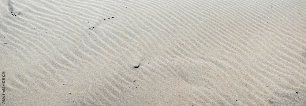 Obraz premium Spiekeroog