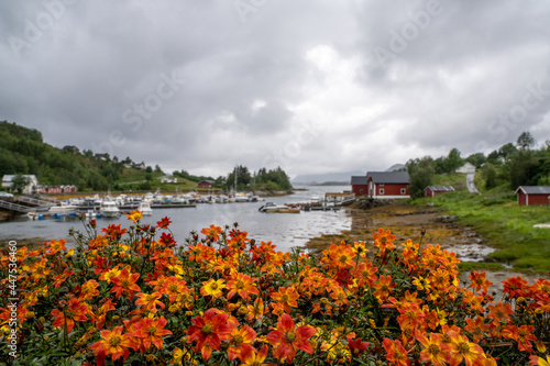 the hamlet of Halsa and marina and harbor with many boats and colorful flowers in the foreground