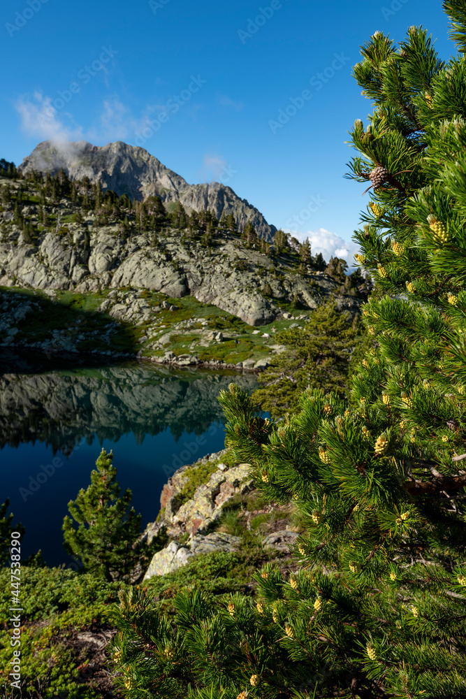 One of the Arriel Lakes, Aragon Pyrenees, Respomuso Valley, Tena Valley, Huesca Province, Aragon, Spain