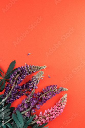 Red paper mockup for text