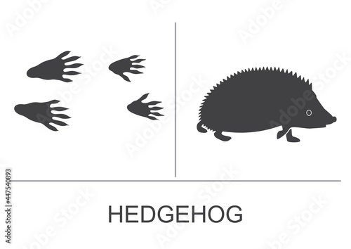 Hedgehog silhouette and prints of the hind and fore paws. Vector illustration.