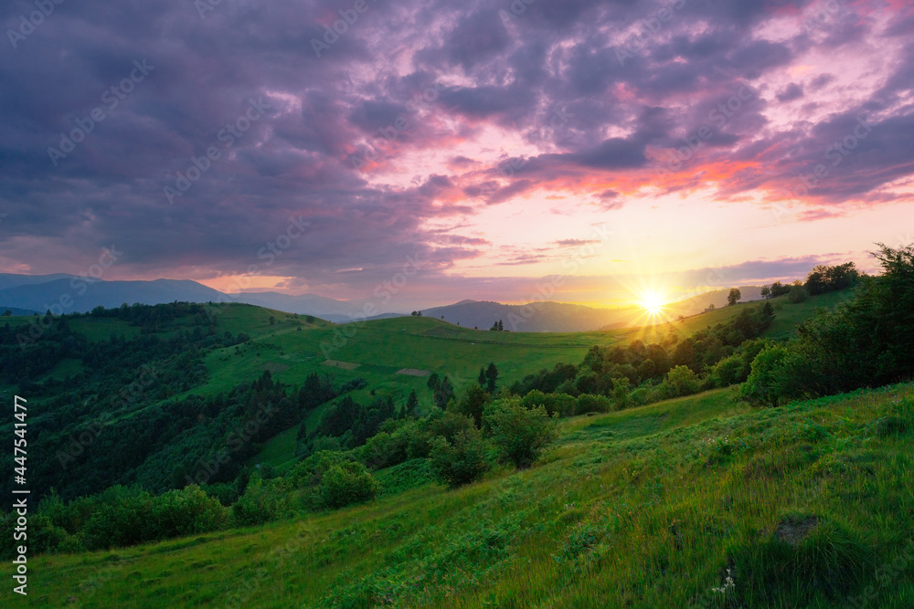 Beautiful summer sunset landscape at Carpathian mountains. Mountain hills under the majestic painted sky. Ukraine.