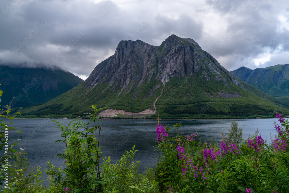 picturesque fjord and mountain landscape with lilac flowers in the foreground