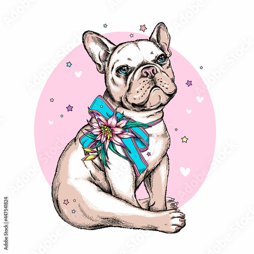 Cute cartoon french bulldog puppy with bow and exotic flower . Summer illustration with dog. Stylish image for printing on any surface