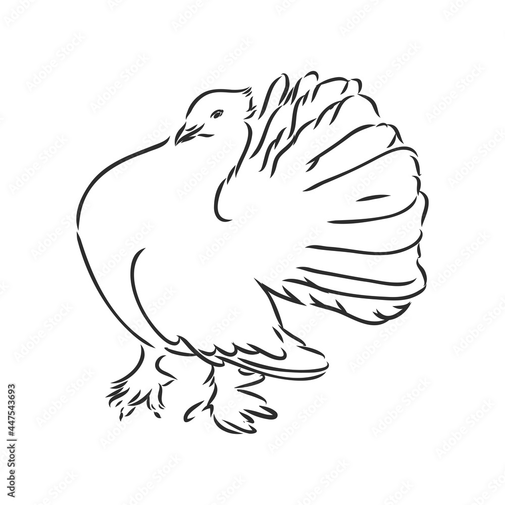 Realistic hand drawn dove. Vector illustration or element for your design. Realistic hand drawn dove. Vector illustration or element for your design.