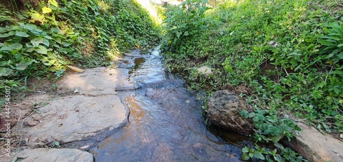 Córrego photo
