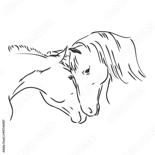 Horses in love line art, tribal. Freehand vector illustration. Horse heart.