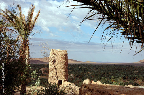 Palm grove of  Figuig in south-eastern Morocco photo