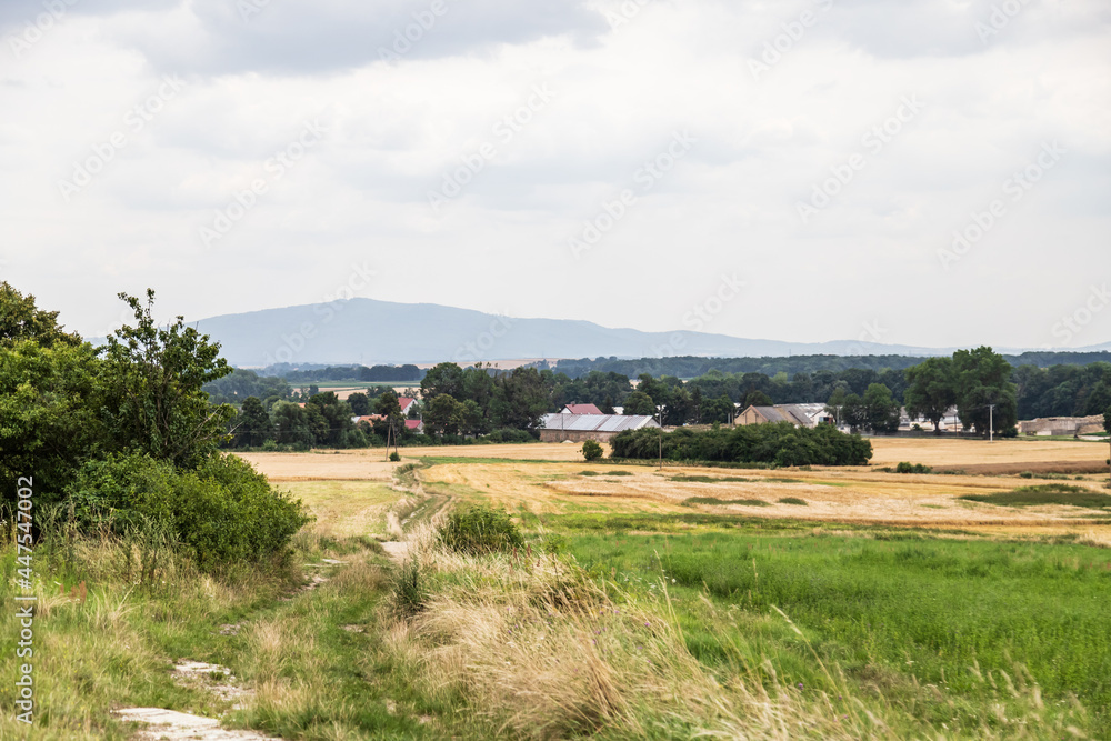 View at Sleza (Ślęża) mountain 