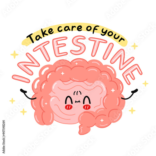 Cute funny intestine organ character. Take care of your intestine quote slogan. Vector cartoon kawaii character illustration icon. Isolated on white background. Human organ, cartoon character concept
