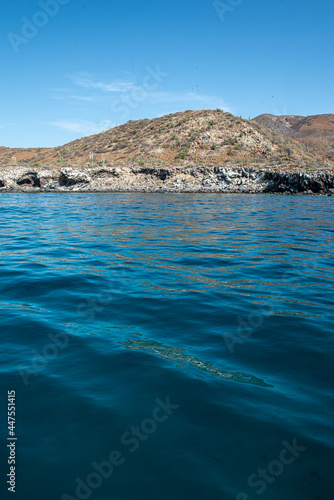 Seascape  mountain by the sea of cortes in the Baja peninsula at Loreto in the state of Baja California Sur. Mexico with blue sky and sunny summer day  vacations  and travel concept.