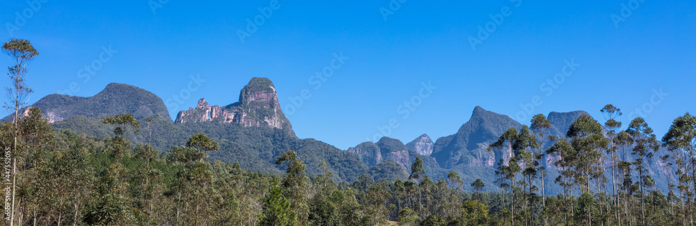 Paisagem com floresta e montanha em Santa Catarina, Brasil.