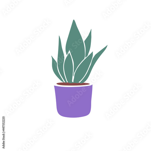 Indoor plant in a pot illustration isolated on white