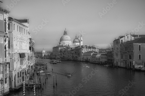 Ponte dell'Accademia, Venezia
