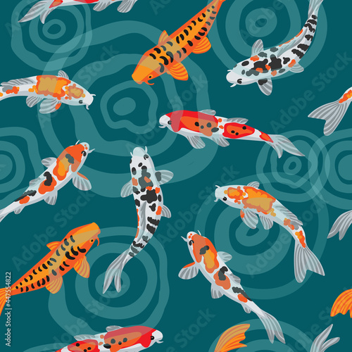 Illustration of koi fish Japanese carp. Seamless vector background. Colorful goldfish are swimming in the pond, there are circles on the surface of the water. Asian carp are white and orange in color