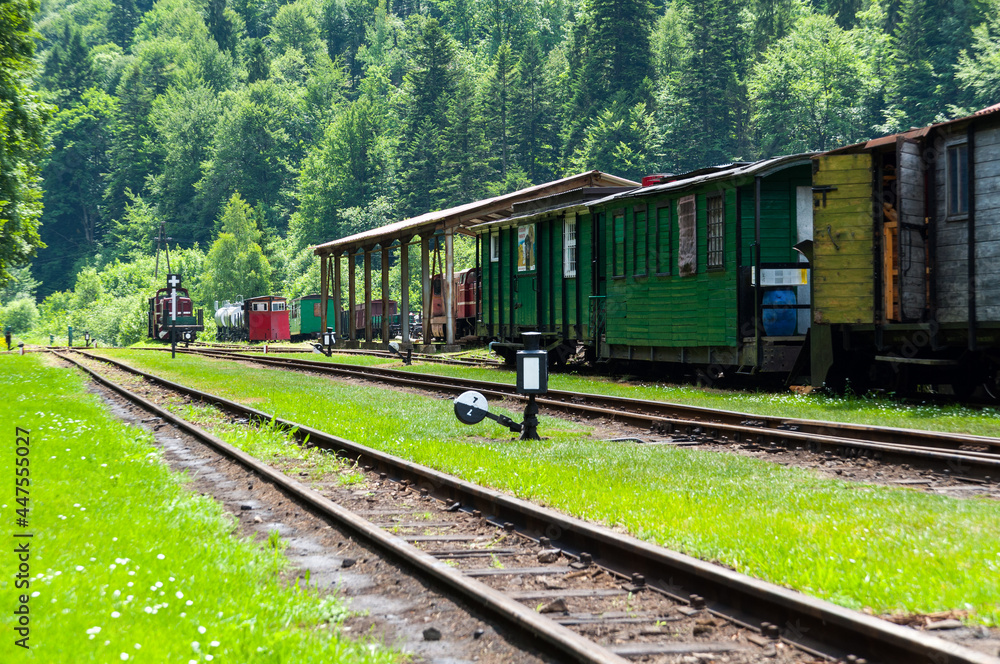 Narrow-gauge railway in Majdan, narrow-gauge railway, Bieszczady Mountains, Cisna Narrow-gauge railway in Majdan, narrow-gauge railway, Bieszczady Mountains, Cisna