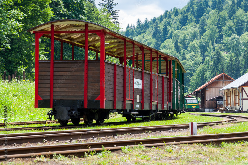 Naklejka premium Narrow-gauge railway in Majdan, narrow-gauge railway, Bieszczady Mountains, Cisna