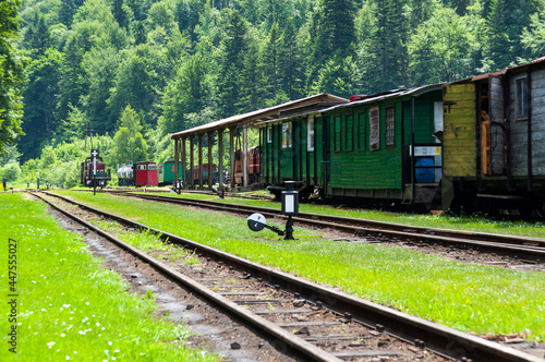 Narrow-gauge railway in Majdan, narrow-gauge railway, Bieszczady Mountains, Cisna