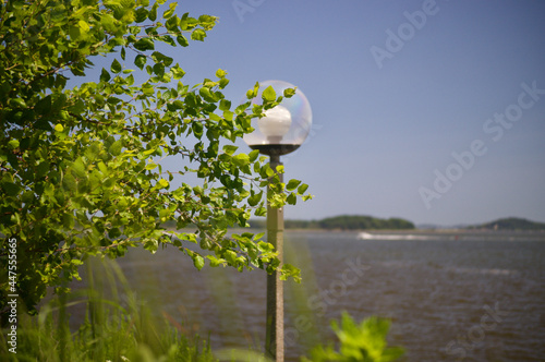 Beautiful landscape with leaves in foreground with street lamp and ocean water in the background