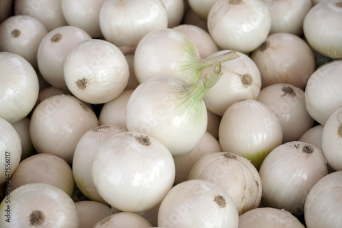 White fresh onions on the market. Background, food texture, wallpaper, new harvest.