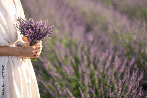 Woman with violet bouquet of fresh lavender flowers in hand on blooming field background. Calmness and mindful concept. Enjoying beauty and scent of nature in summer.