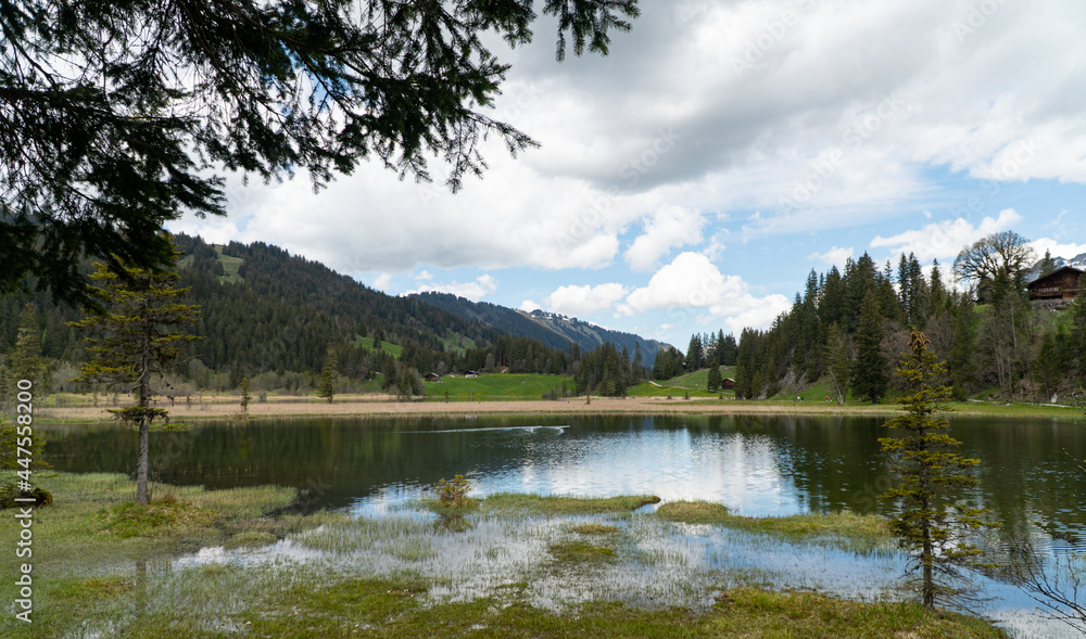 Lauenensee - Lauenen lake in the Swiss alps in spring with beautiful flowers around