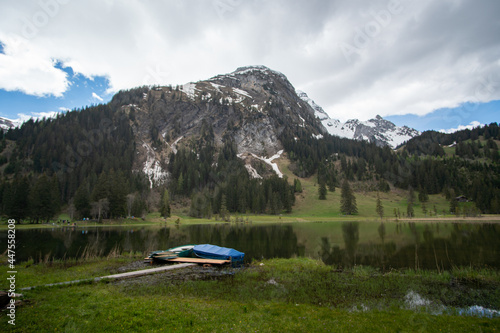 Lauenensee - Lauenen lake in the Swiss alps in spring with beautiful flowers around photo