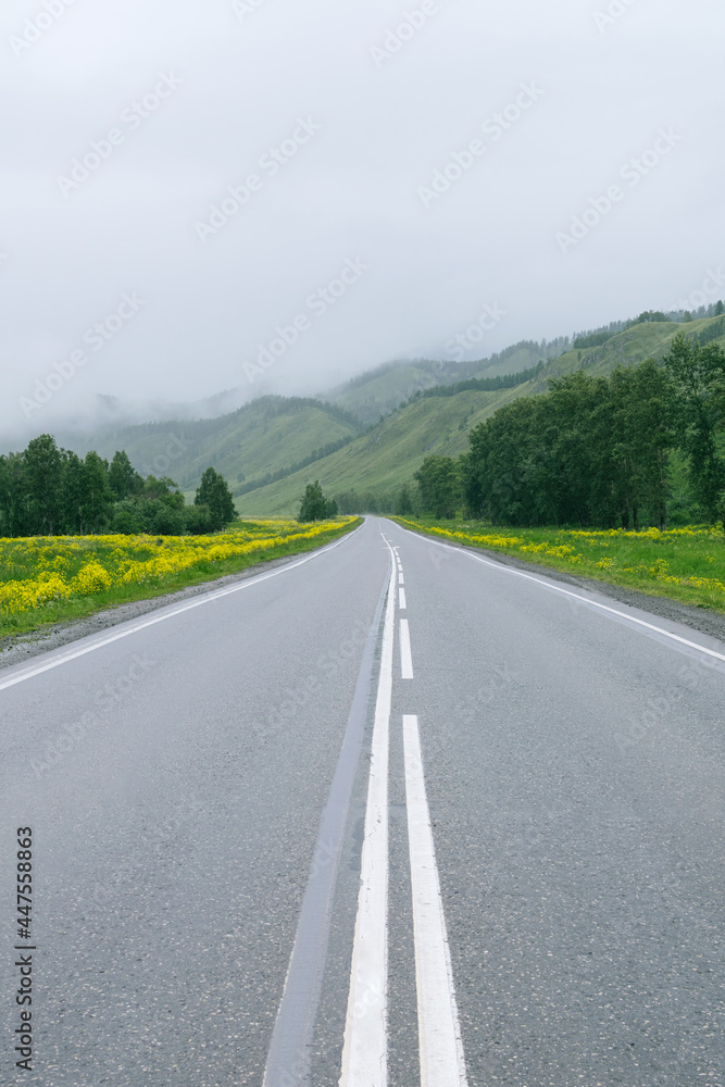 Obraz premium Foggy mountain road in Altai republic, Siberia, Russia.