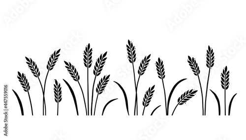 Wheat, barley, field background for oat, cereal. Hand drawn sketch style oat with grain. Wheat vector illustration background. Black color barley.