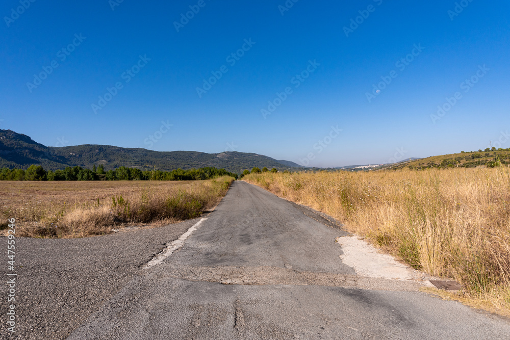 Rural road between wheat fields on a summer day with blue sky. 
